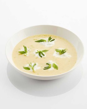 Culinary Technique - Soup