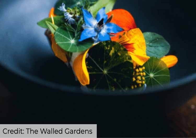 The Walled Gardens