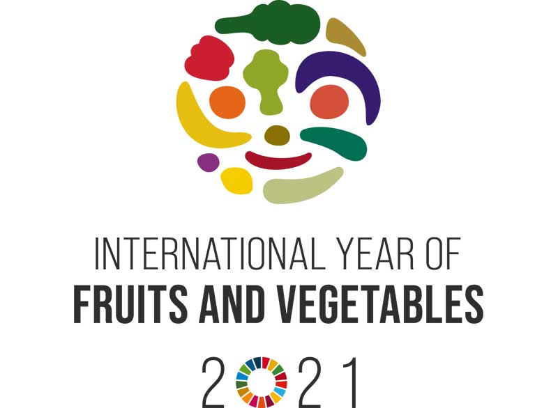 The international year of fruit and vegetables