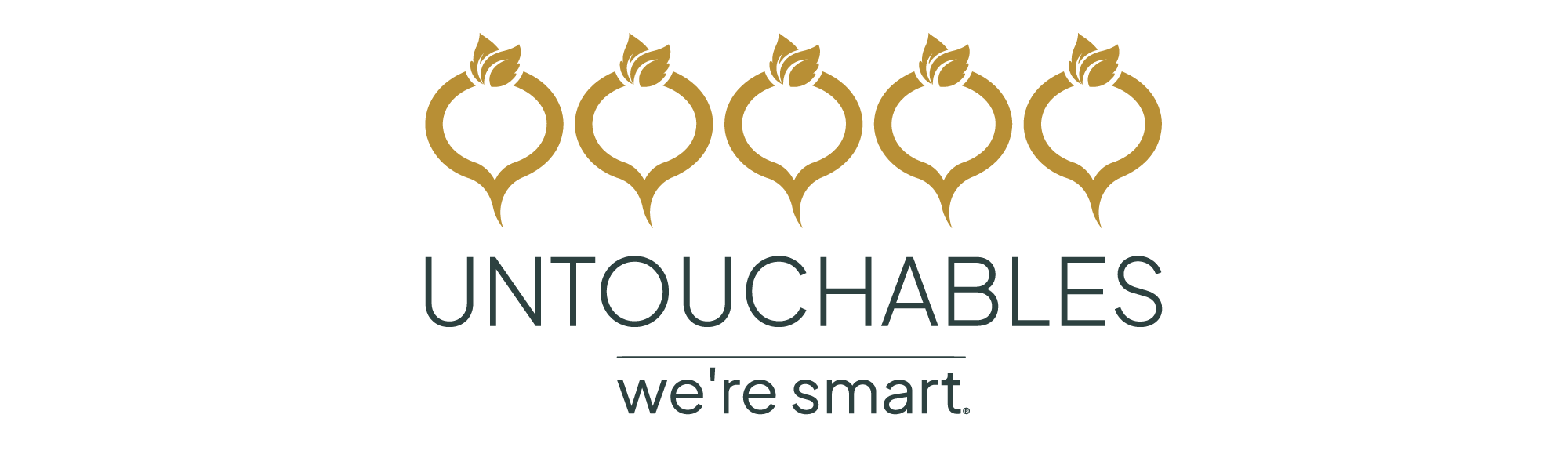 we're smart untouchables logo