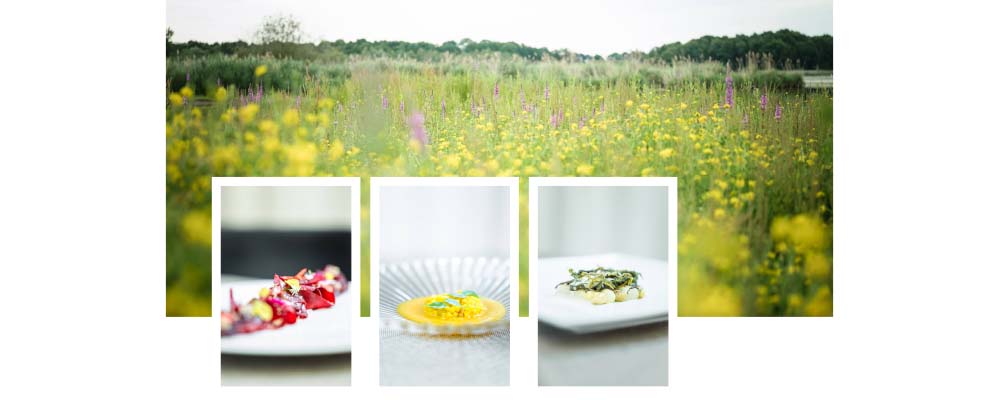 Give easy ways to keep your new years resolutions: Indulge yourself with sustainable fine dining