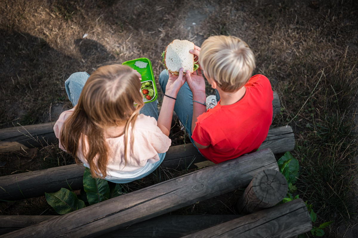 Brooddoosnodig, Proyecto del Año