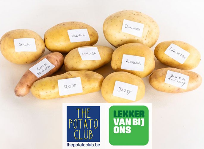 The Potato Club
