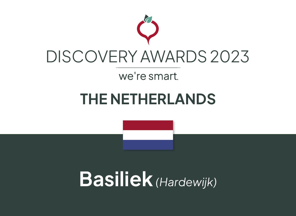 Discovery The Netherlands 2023 Basiliek