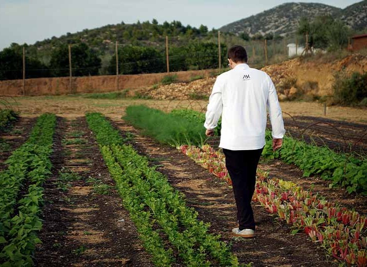 Vicent Guimera - L'Antic Moli