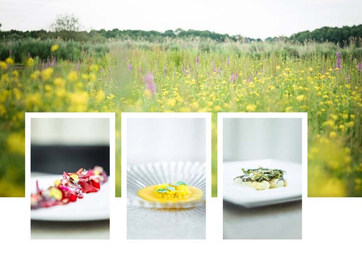 Give easy ways to keep your new years resolutions: Indulge yourself with sustainable fine dining