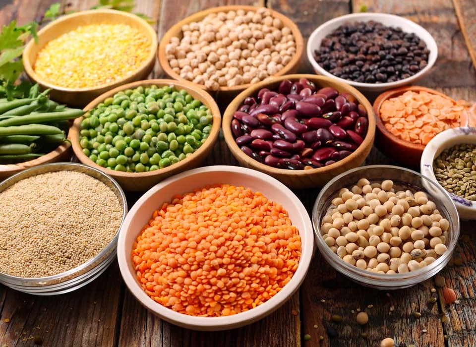 The relevance of the “planetary health diet” for fine dining