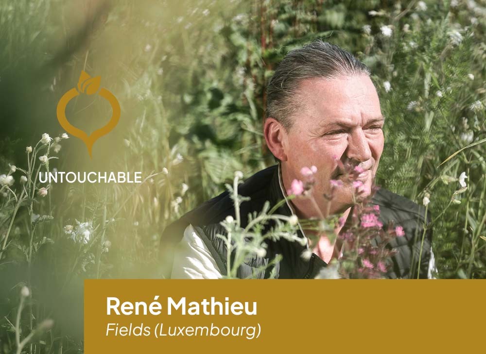 René Mathieu, We're Smart Untouchable