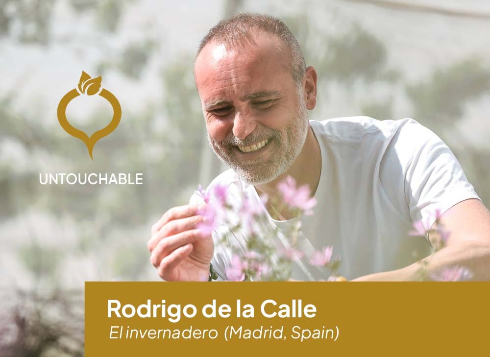 We're Smart untouchable Rodrigo de la Calle