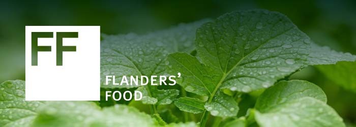 Flanders food