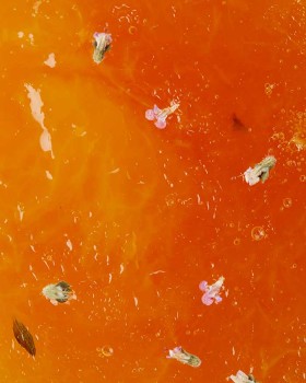 Culinary Technique - Marmalades, Jams and Chutneys