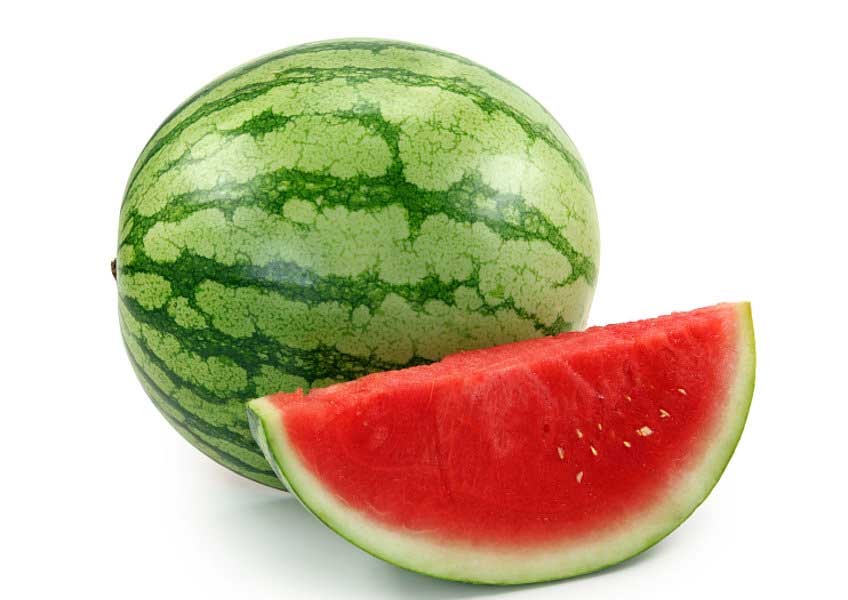 Melon fruit online