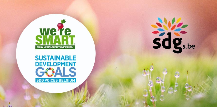 SDG voice belgium