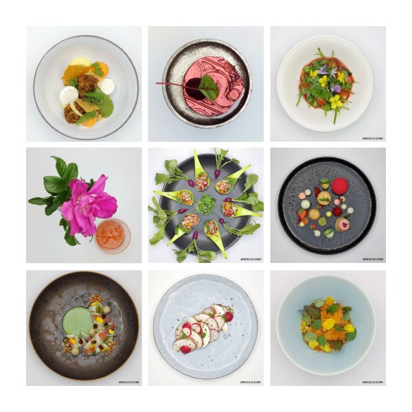 Youmeal-recipes