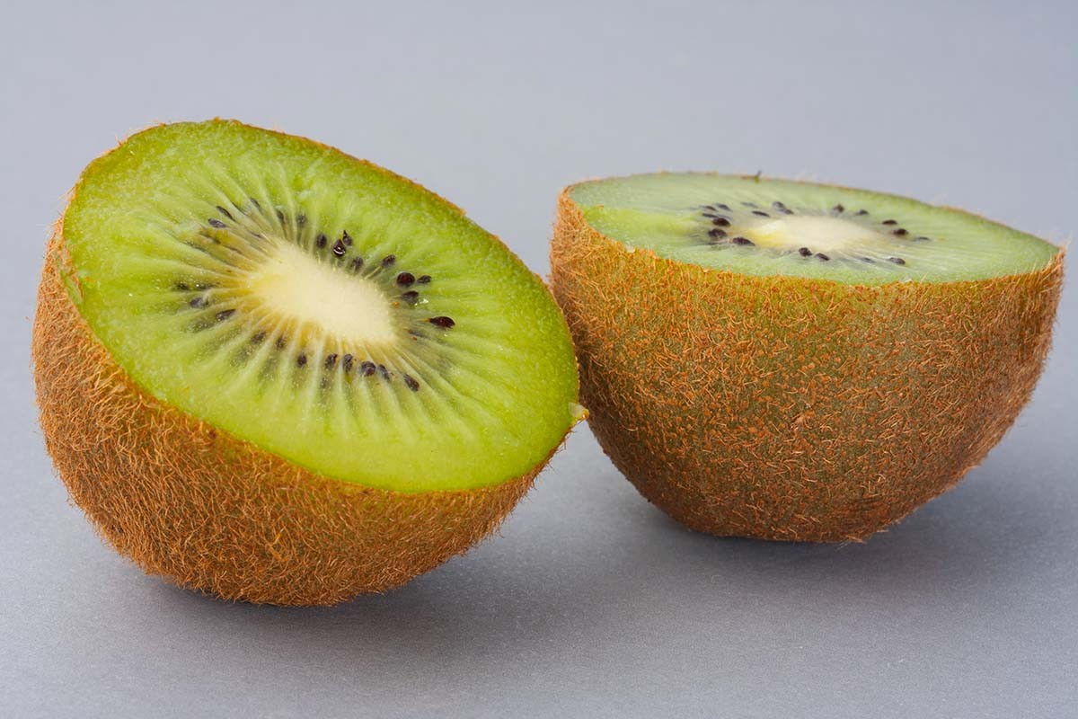 Fruit of the year 2023 : The Kiwi