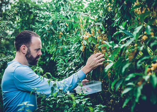 Dit zijn de beste groenterestaurants ter wereld: Nederland en België vallen in de prijzen