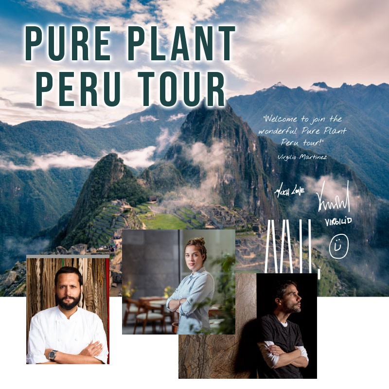 Pure plant peru tour