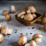 Mushroom, vegetable of the year 2025