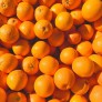 Orange fruit of the year 2025