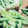 Peas - vegetable of the year 2026