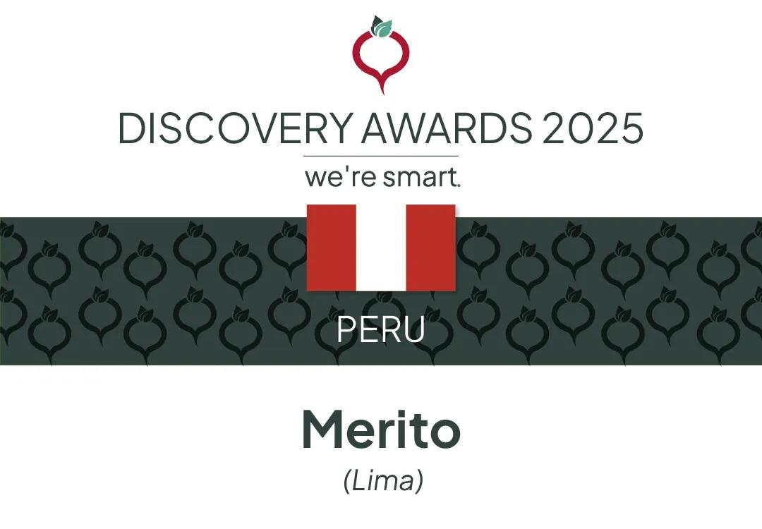 We're Smart Discovery winner 2025 Peru
