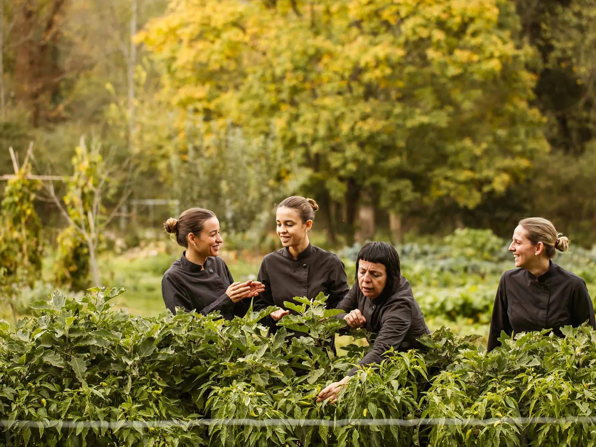 Team Les Cols