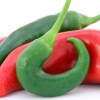 pepper
