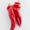 pepper