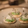 Wild Cooking recipe winter
