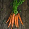 Carrots vegetalbe of the year 2023