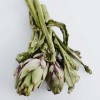 vegetable of the year 2024 : artichoke