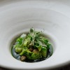 Plate Basiliek - photo Janne Lieke Visuals