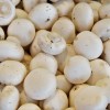 Mushroom, vegetable of the year 2025