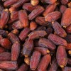 Fruit of the year 2026 - Date