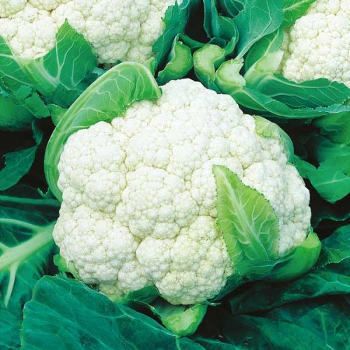 Cauliflower