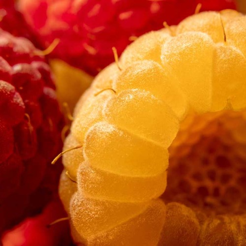 Raspberry