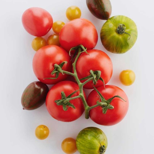 Tomato vegetable of the year 2022