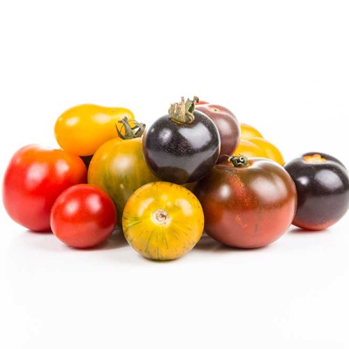 Tomato vegetable of the year 2022