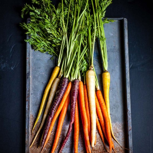 Carrots vegetalbe of the year 2023