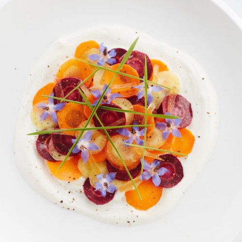 Carrots vegetalbe of the year 2023