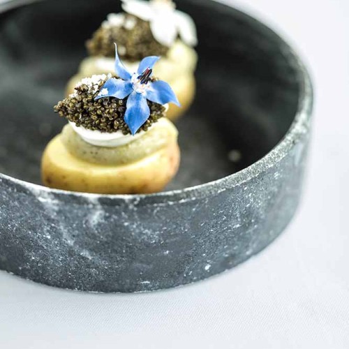 Radilicious book number 1