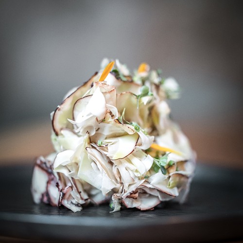 Radilicious book number 1