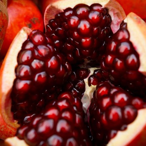 Pomegranate is Fruit Of The Year 2024