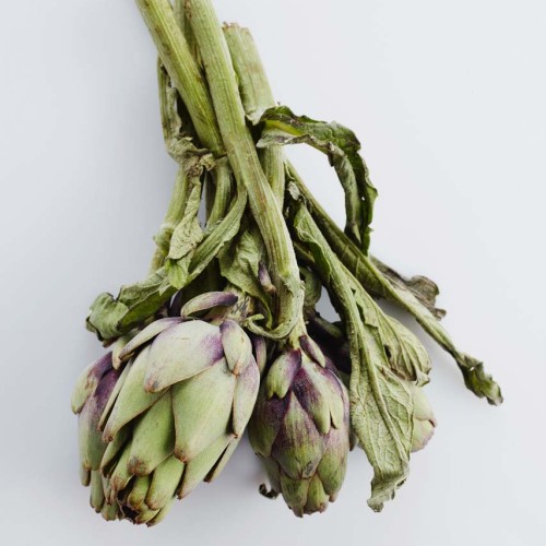 vegetable of the year 2024 : artichoke