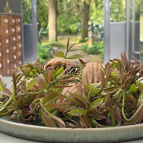 Walnootblad madeleines