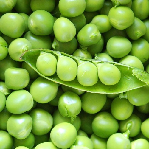 Peas - vegetable of the year 2026