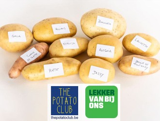 The Potato Club